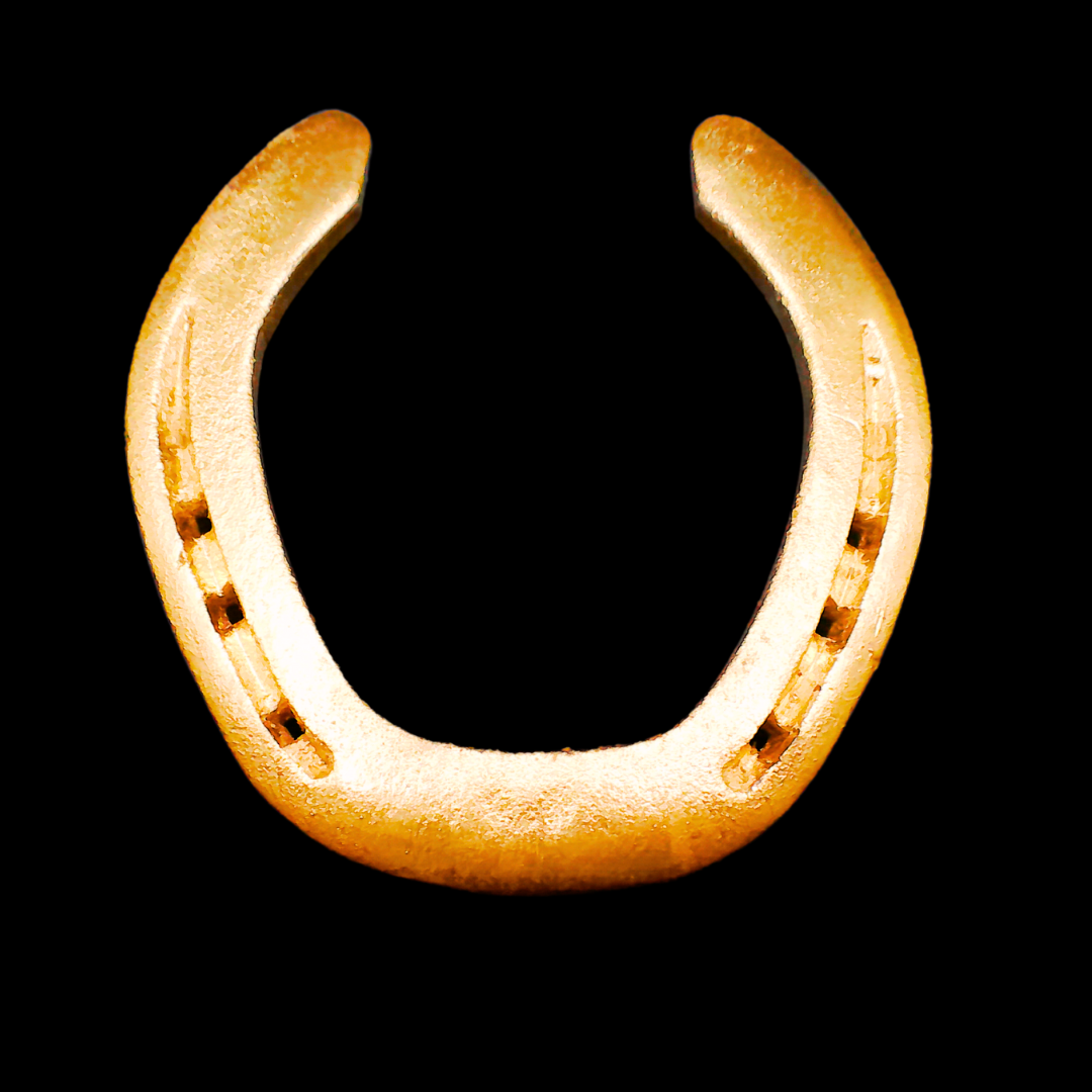 Glückshufeisen gold - Geburt, Taufe, Hochzeit, Richtfest, Jubiläum, Geburtstag, usw.