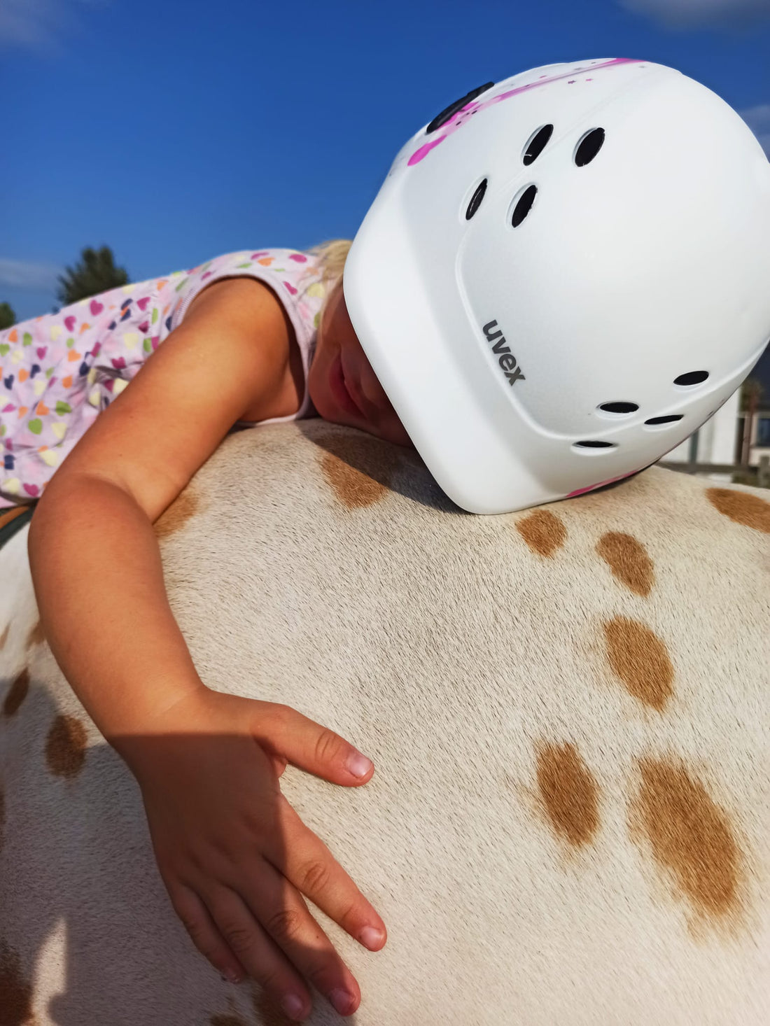 sicher reiten lernen - Sicherheitsausrüstung für Ponykinder